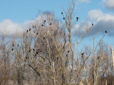 159_amperstausee_200311