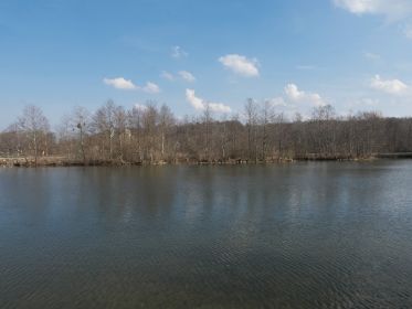 Inselgruppe nahe Autobrücke Fürstenfelder Straße. Drei Graugansnester befinden sich dort