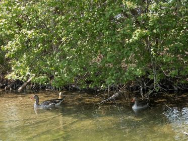 Schattiger Platz in der Mittagssonne