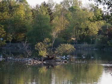 Blick auf den nördlichen Bereich des Amperstausees