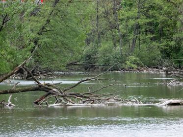Blick auf den Amperstausee, hier der südliche Bereich