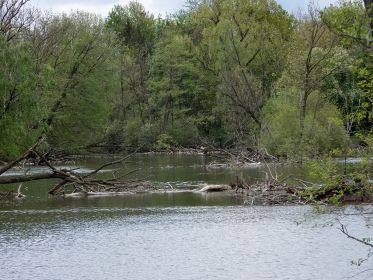 Blick auf den Amperstausee, hier der südliche Bereich