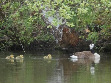 Am anderen Ufer entlang