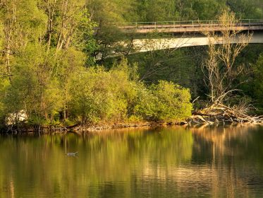 Blick auf den südlichen Bereich des Amperstausees