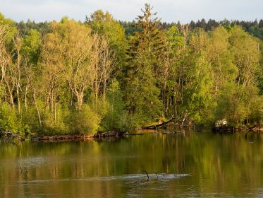 Blick auf den südlichen Bereich des Amperstausees