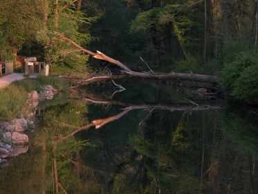 Ein Seitenarm des Amperstausees