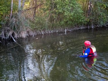 In Richtung Holzstamm am Wasser. Dort kann sich das Küken nicht befreien