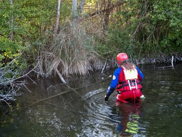 In Richtung Holzstamm am Wasser. Dort kann sich das Küken nicht befreien