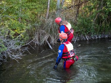 Wasserwacht ganz nah beim Schwanenküken