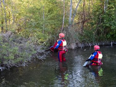 Wasserwacht ganz nah beim Schwanenküken