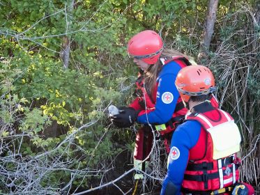 Das Küken ist befreit
