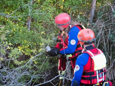 Das Küken ist befreit