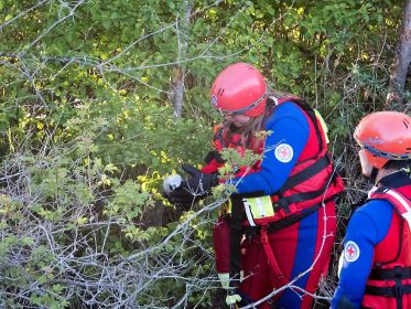 Küken in der Hand der Wasserwacht
