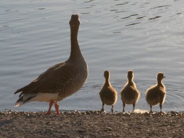 Ausblick in die Zukunft