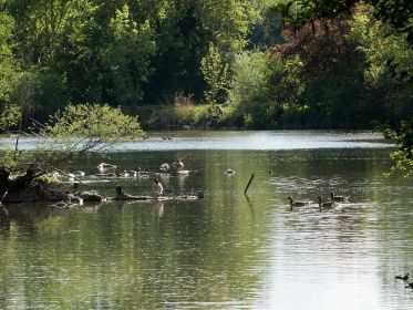 Blick auf den Amperstausee