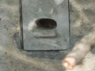 An der Eisvogelwand tut sich wohl nichts