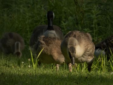 6831_amperstausee_200625