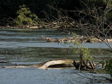 Gähnende Leere. Sonst sitzen hier und da Graugänse