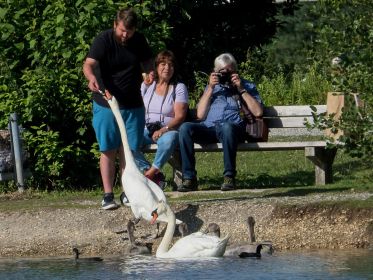 Hellabrunn in Fürstenfeldbruck