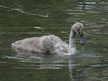 7360_amperstausee_200724