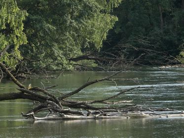 7366_amperstausee_200724