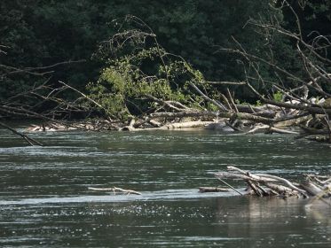 7367_amperstausee_200724