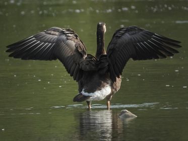 7380_amperstausee_200724