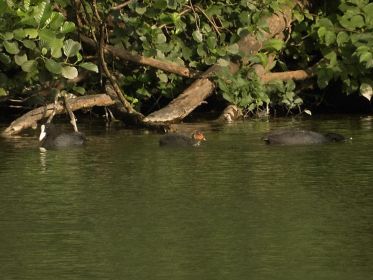 7395_amperstausee_200724