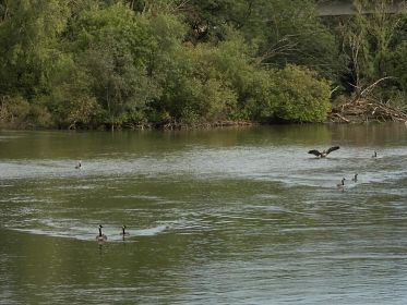 7397_amperstausee_200724