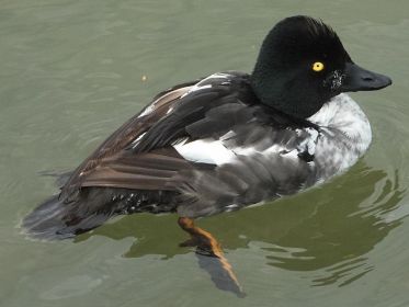 7399_amperstausee_200724