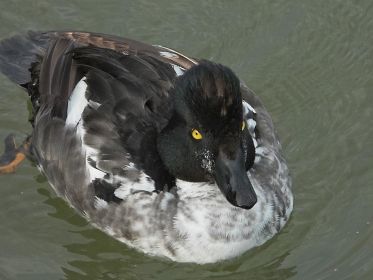 7400_amperstausee_200724