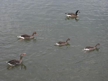 7401_amperstausee_200724