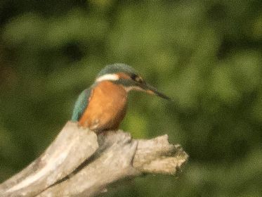 7414_amperstausee_200724