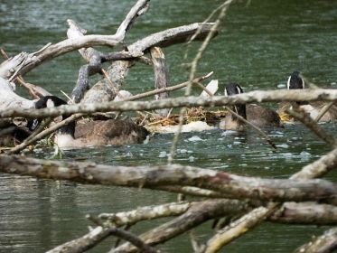 7420_amperstausee_200724