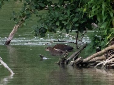 7422_amperstausee_200724