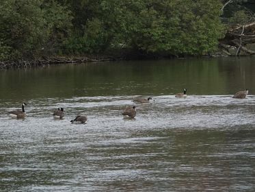 7430_amperstausee_200724