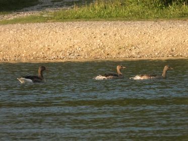 7434_amperstausee_200724