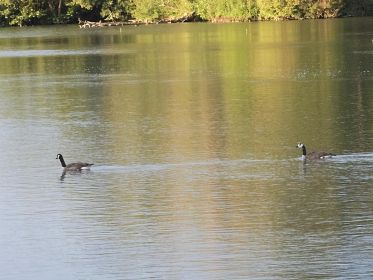 7437_amperstausee_200724