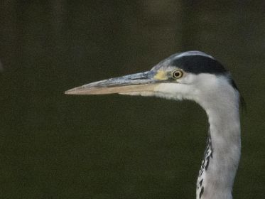 7449_amperstausee_200724