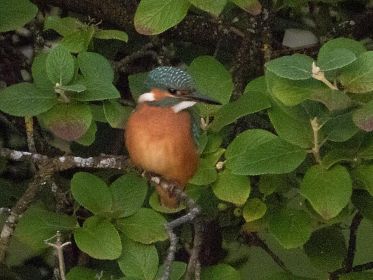 7466_amperstausee_200724