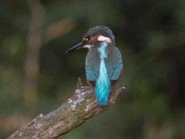 7475_amperstausee_200724