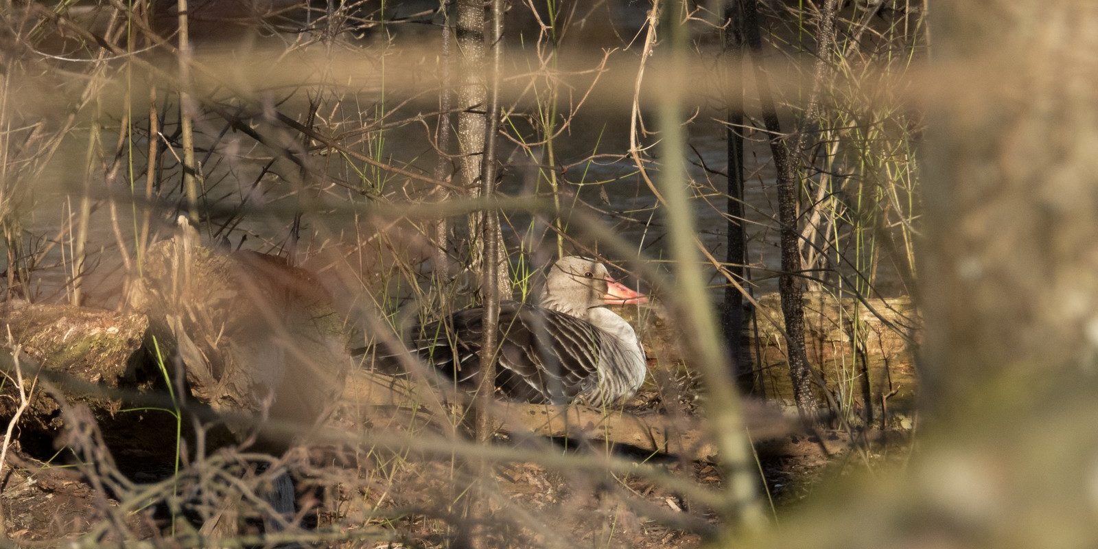 136_amperstausee_200311