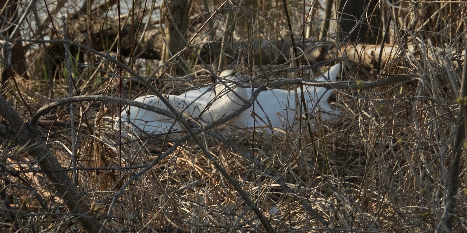 1995_amperstausee_200320