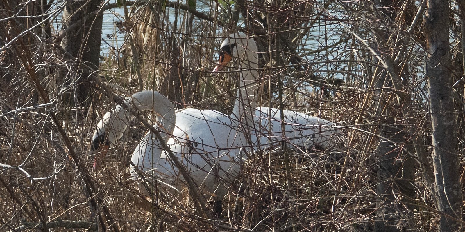 2163_amperstausee_200322