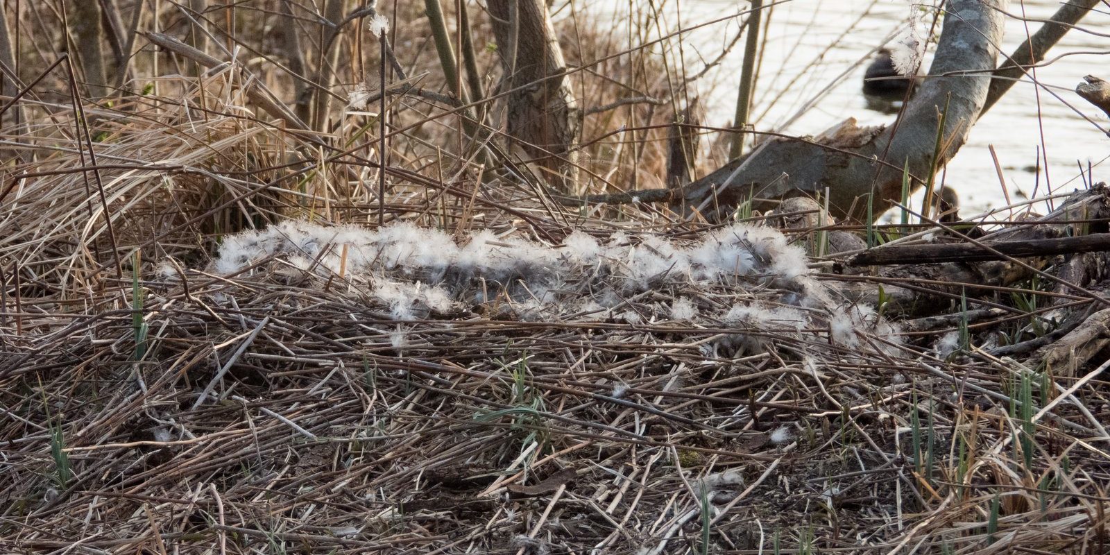 2174_amperstausee_200327