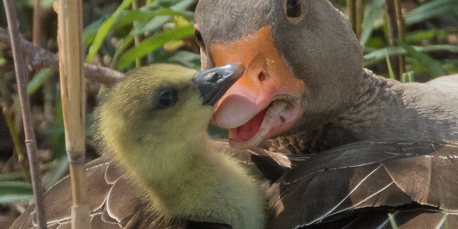 3504_amperstausee_200419