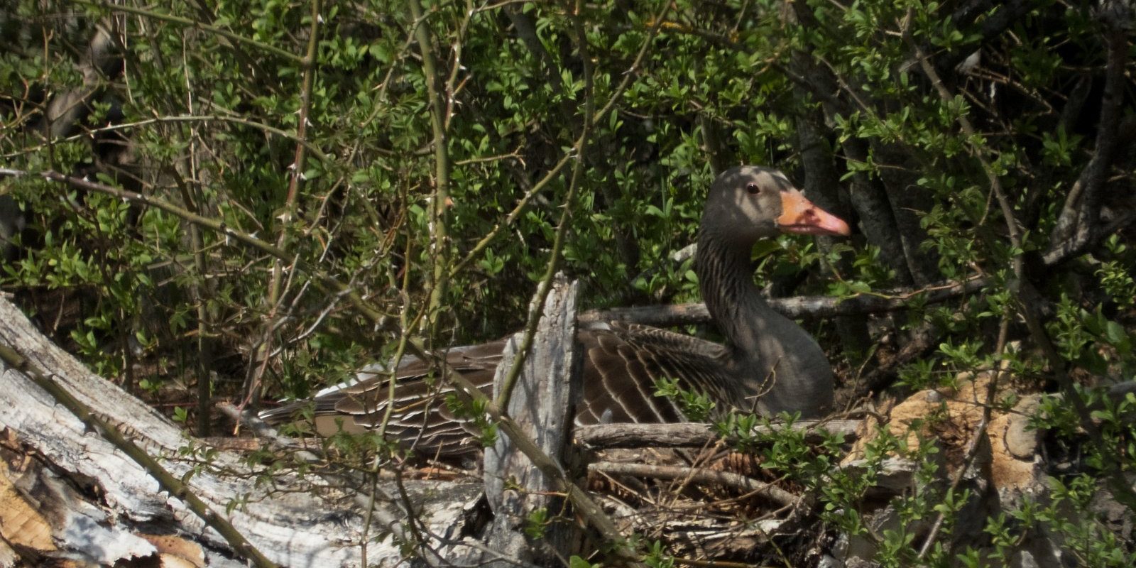 3589_schoengeising_200419