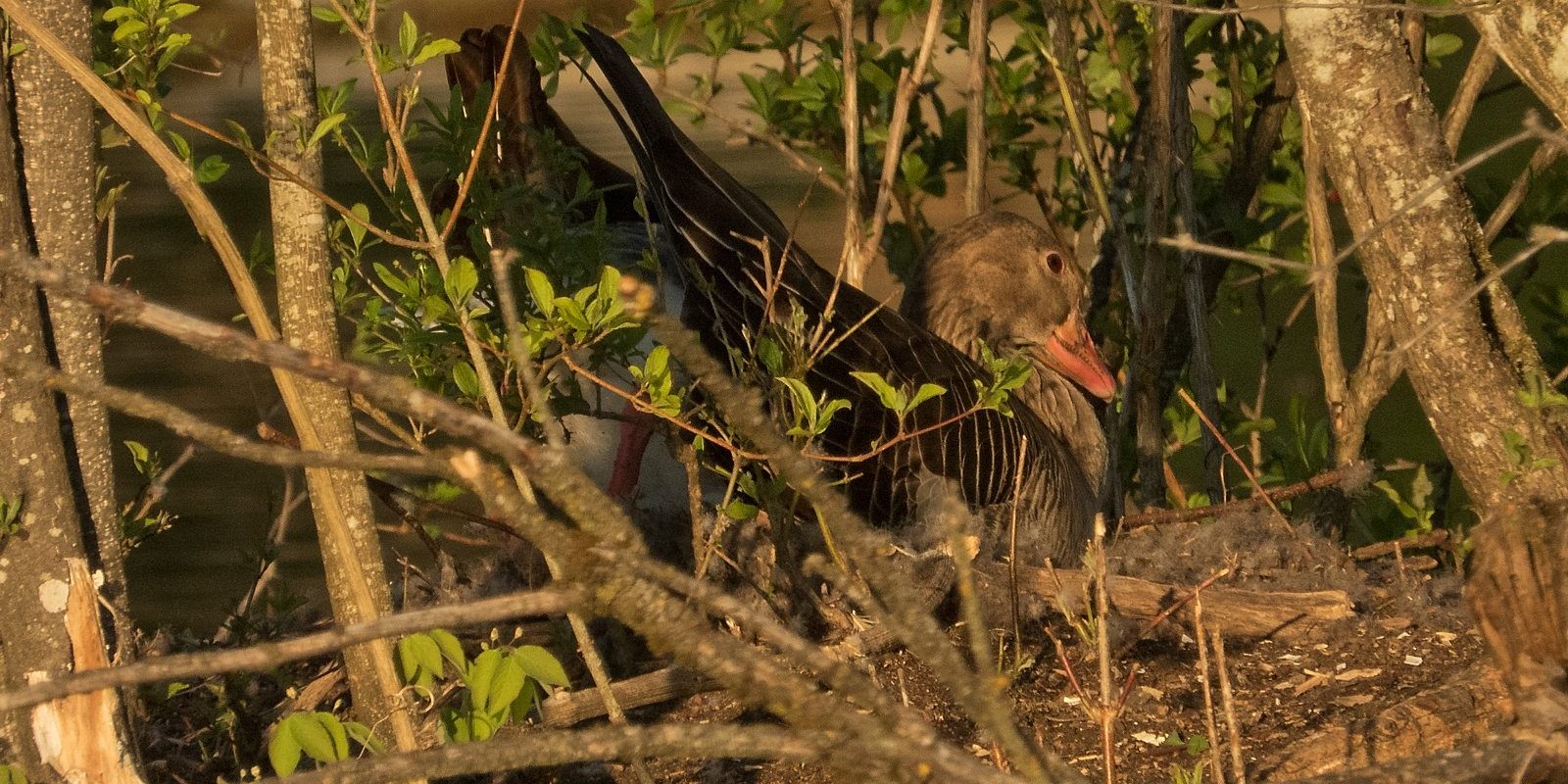 3700_amperstausee_200423