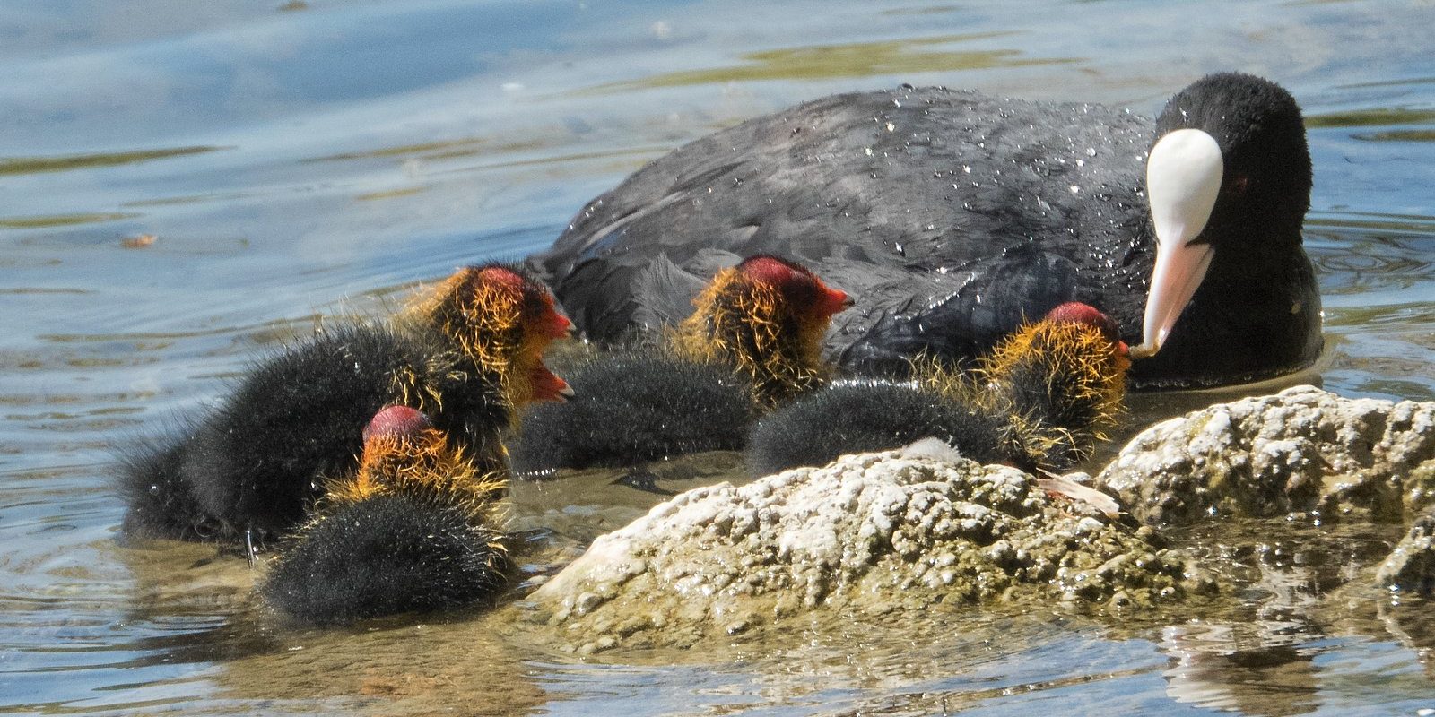 4066_amperstausee_200426