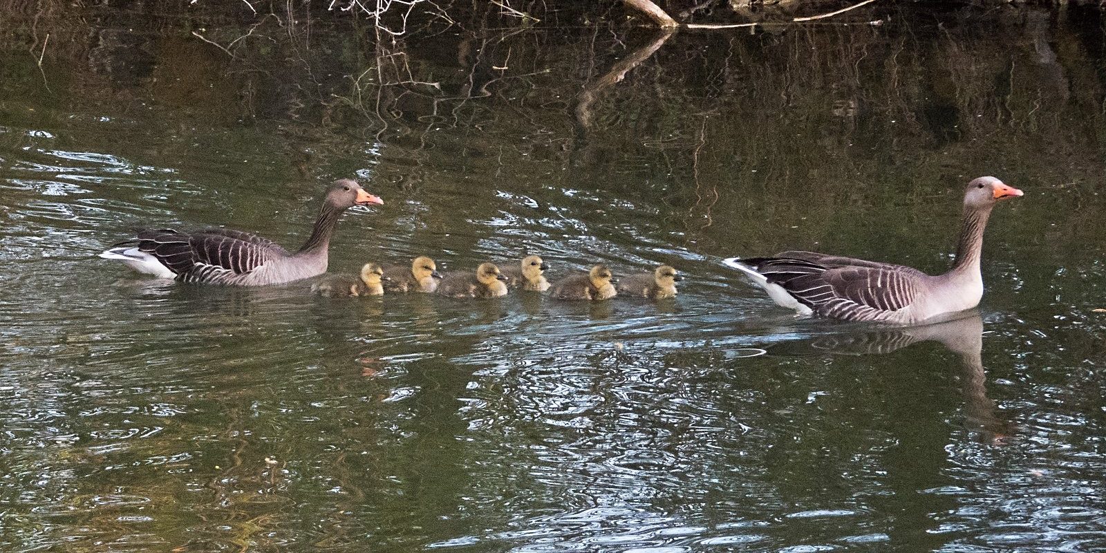 4265_amperstausee_200427